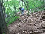 Grmada ( 718m ) - Strma pot - Hudičev graben- Pečovnik Del strme poti